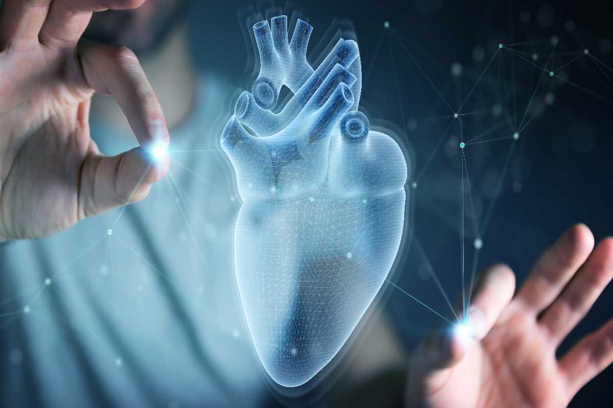 Trovata una possibile strada per riparare il cuore dopo l'infarto