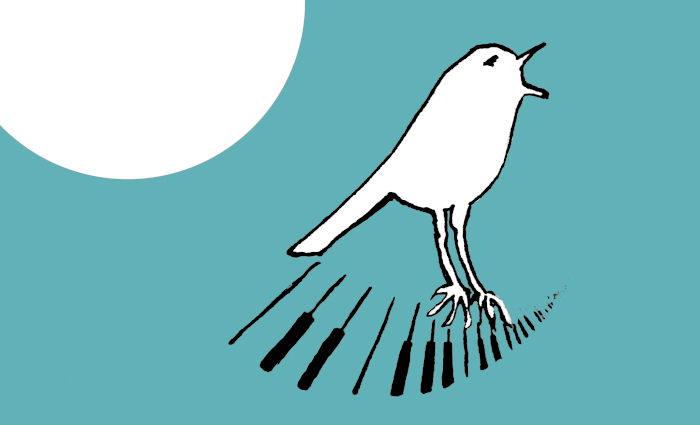 Illustrazione di Verdiana Siddi