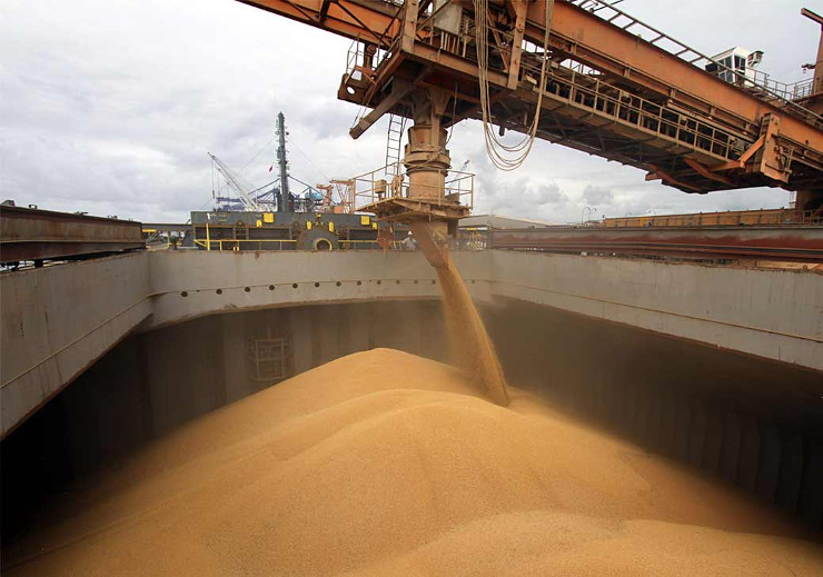 Di chi è il grano che arriva dall’Ucraina?
