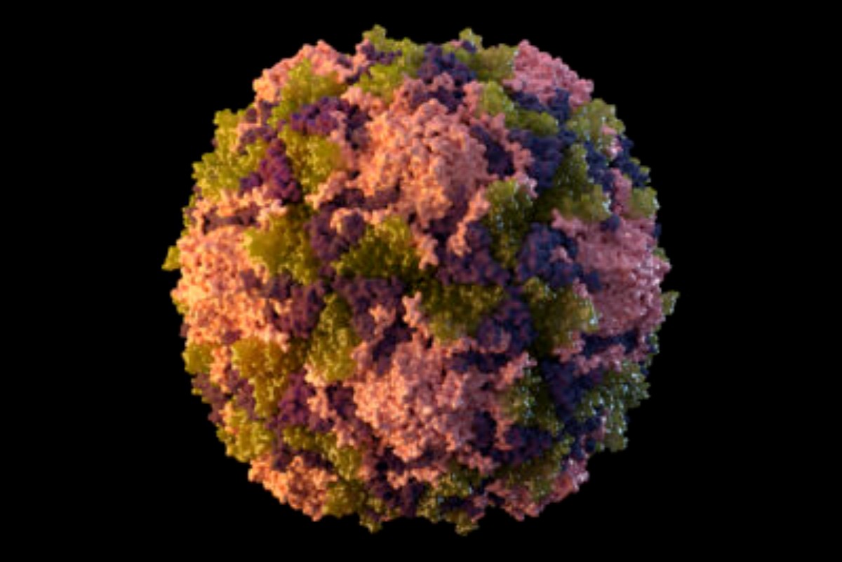 I vaccini stanno ridando vita ad un virus mortale quasi debellato
