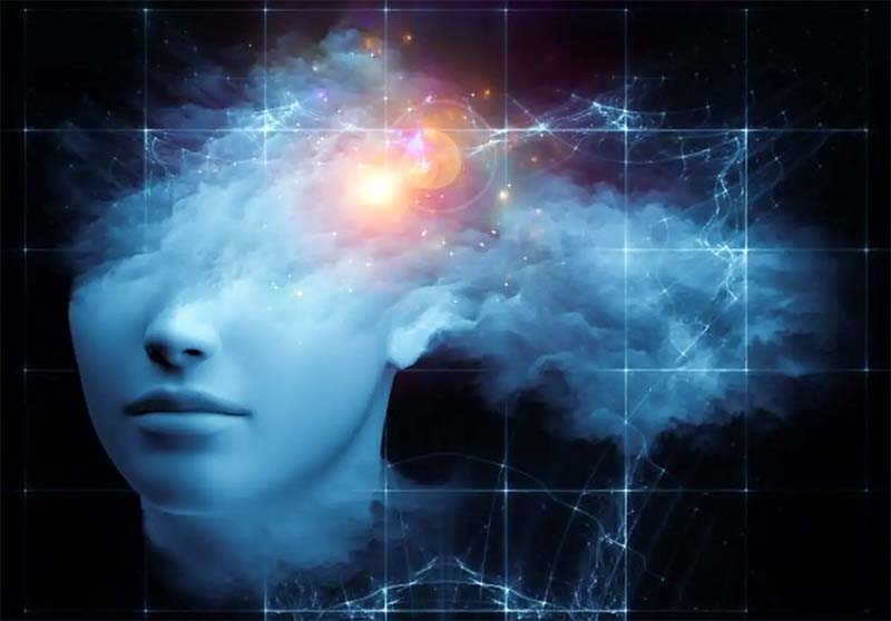 Il punto di vista della coscienza