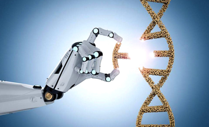 Parere CIEB relativo al primato dell'essere umano sugli interessi della società e della scienza