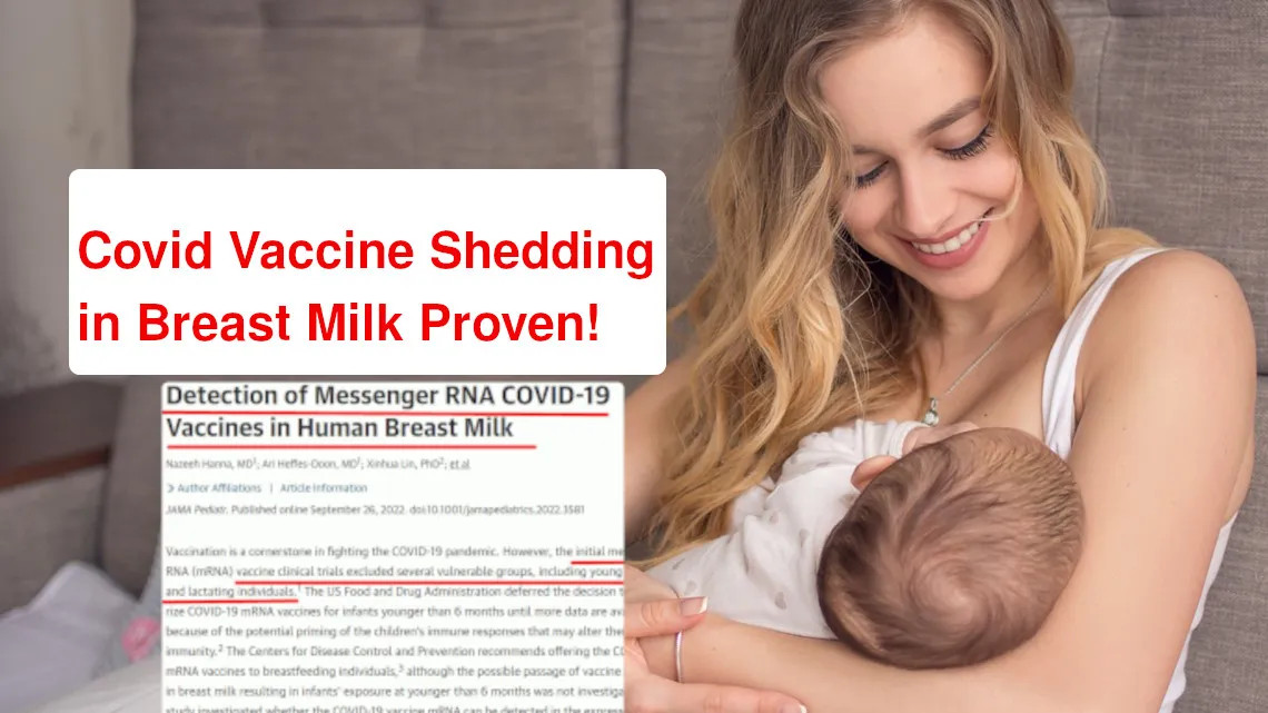 JAMA: provata la diffusione del vaccino mRNA nel latte materno!