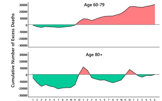 Fig.4 - Numero cumulativo di decessi in eccesso, fasce d'età 60-79 e 80+