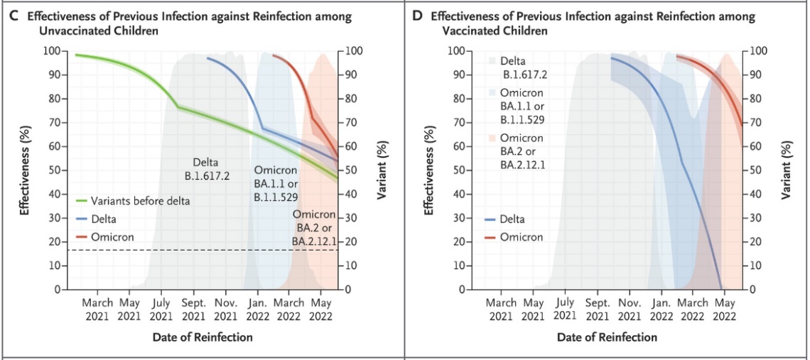 Protezione contro le reinfezioni data dall'immunità naturale, per bambini non vaccinati (fig. C) e vaccinati (fig. D).