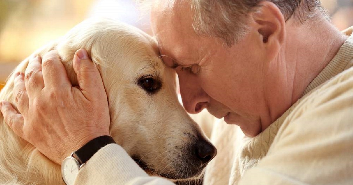 Lo stress ha un odore e i cani lo rilevano