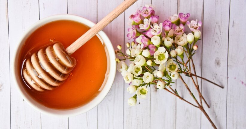 Miele di Manuka possibile risorsa per le infezioni polmonari resistenti ai farmaci