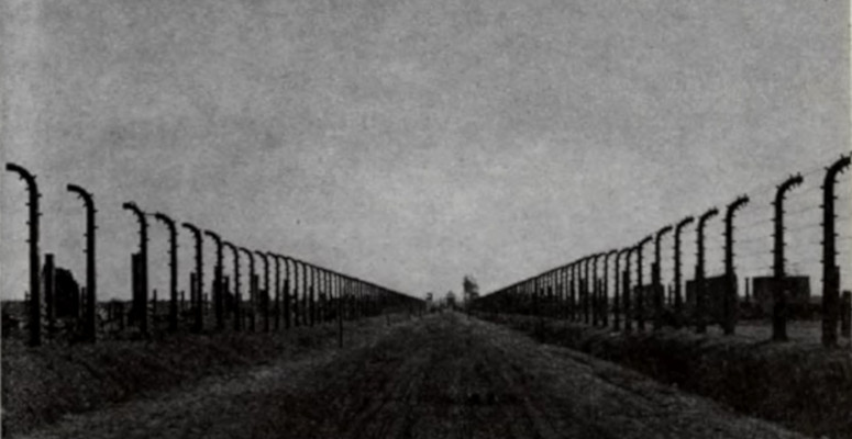 La strada verso il totalitarismo (rivisitata)