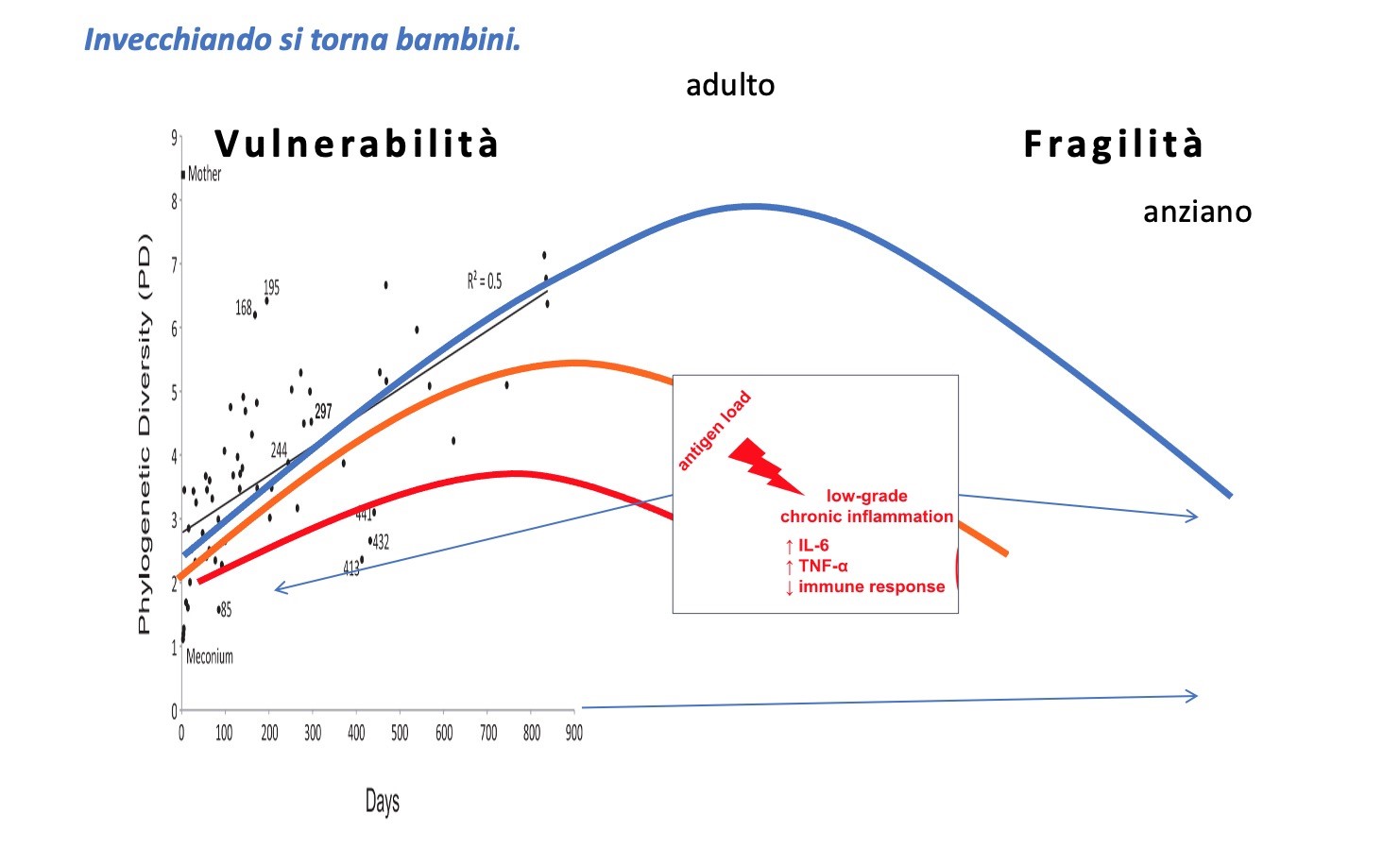 invecchiamento