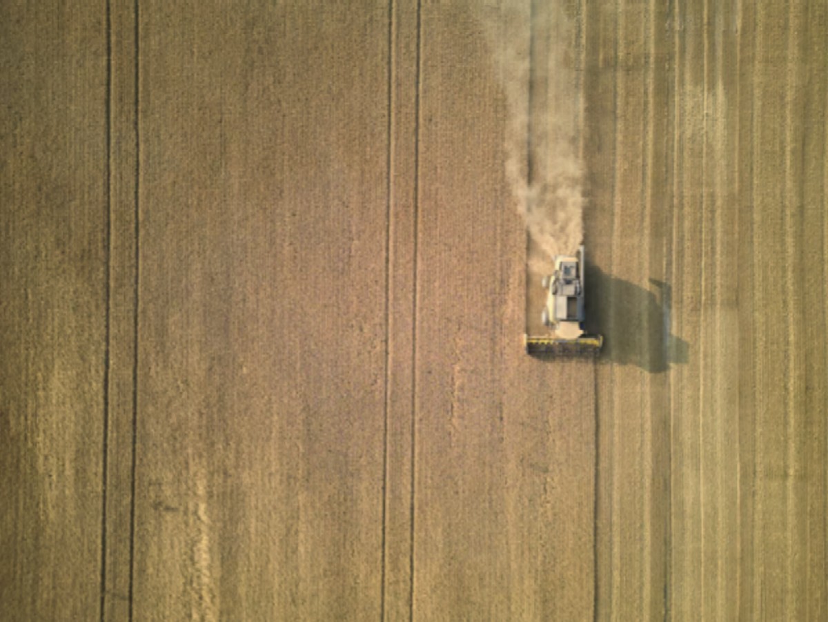 ukrainian_field
