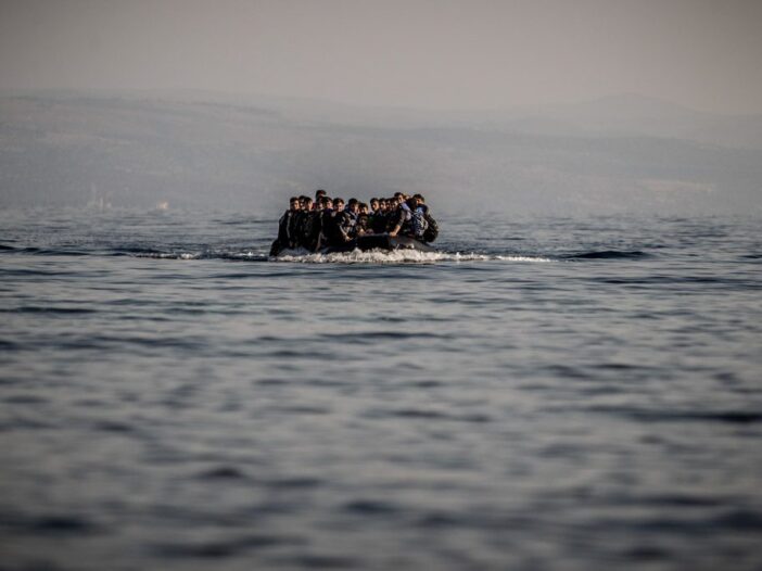 ong immigrazione