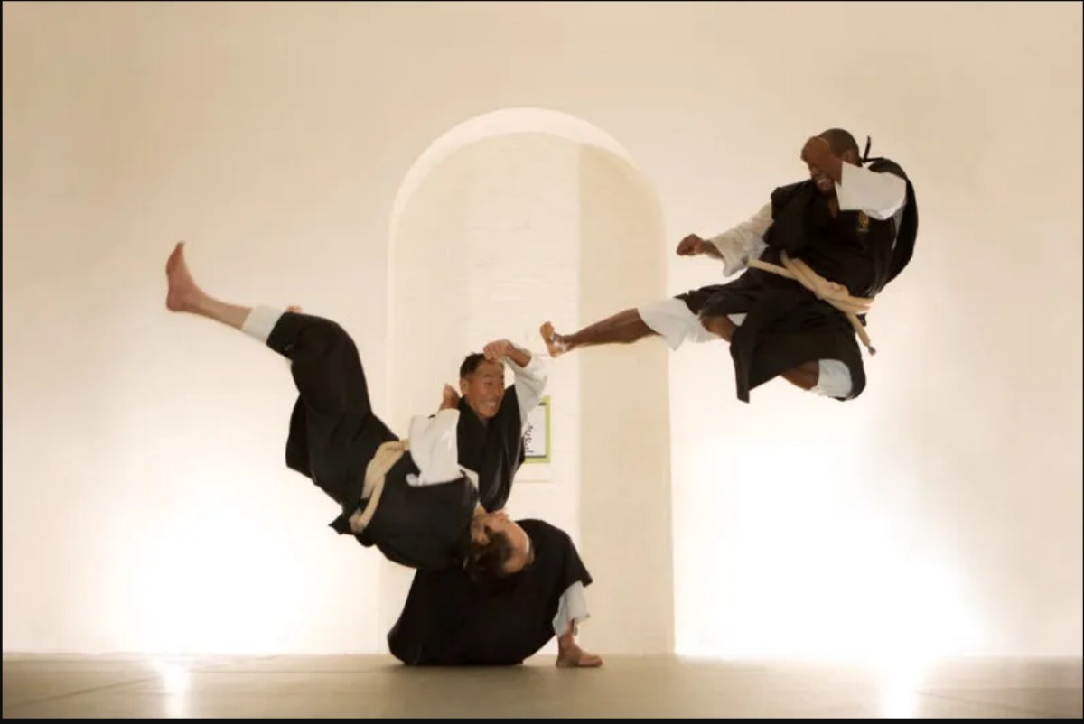 jap_martial_art