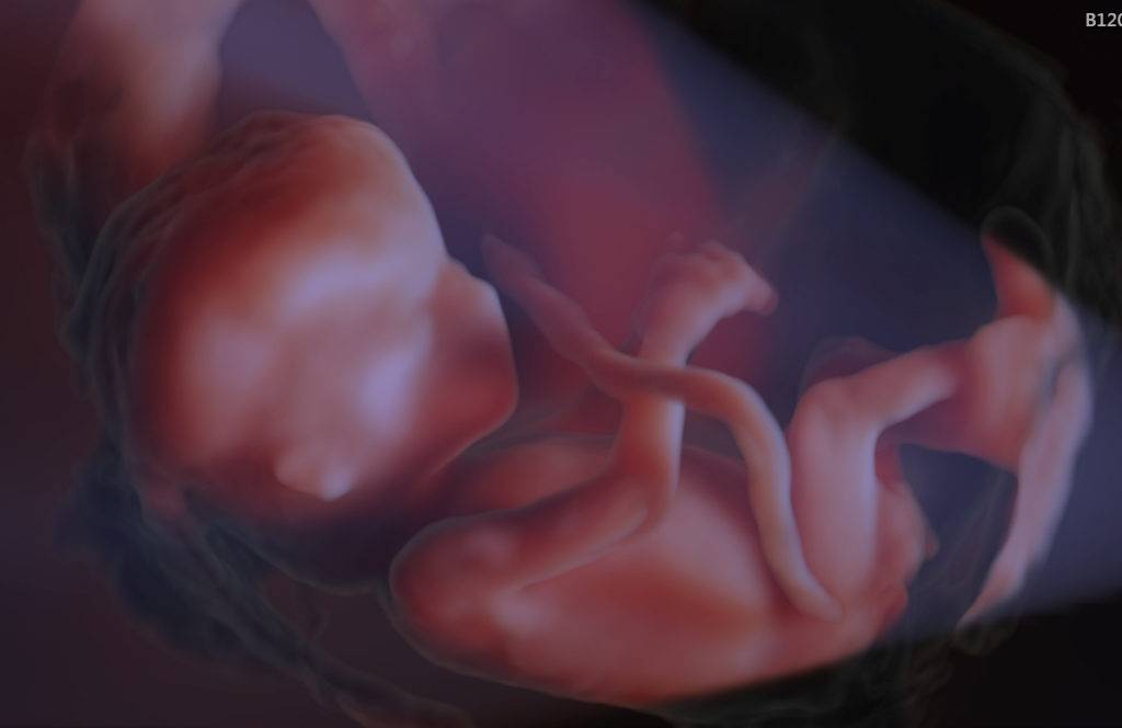 “Un cuore che batte”: una firma per la Vita