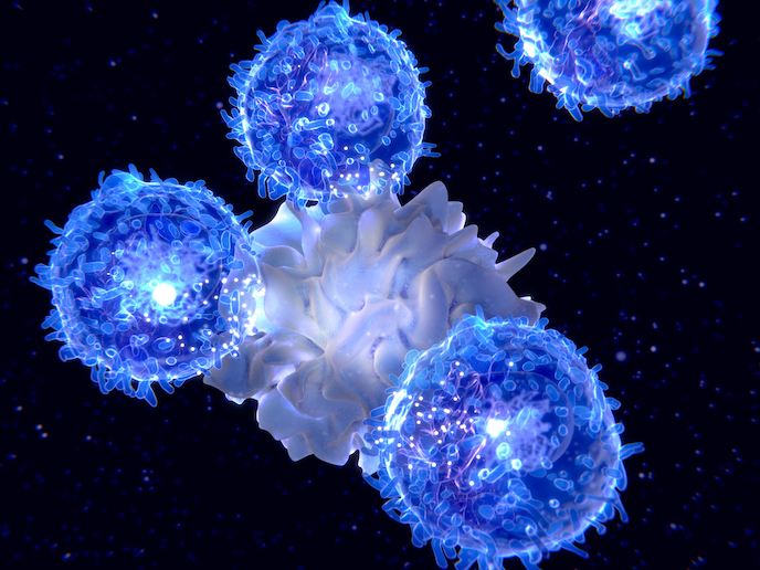 Studio dimostra che i vaccini COVID possono causare risposte immunitarie errate