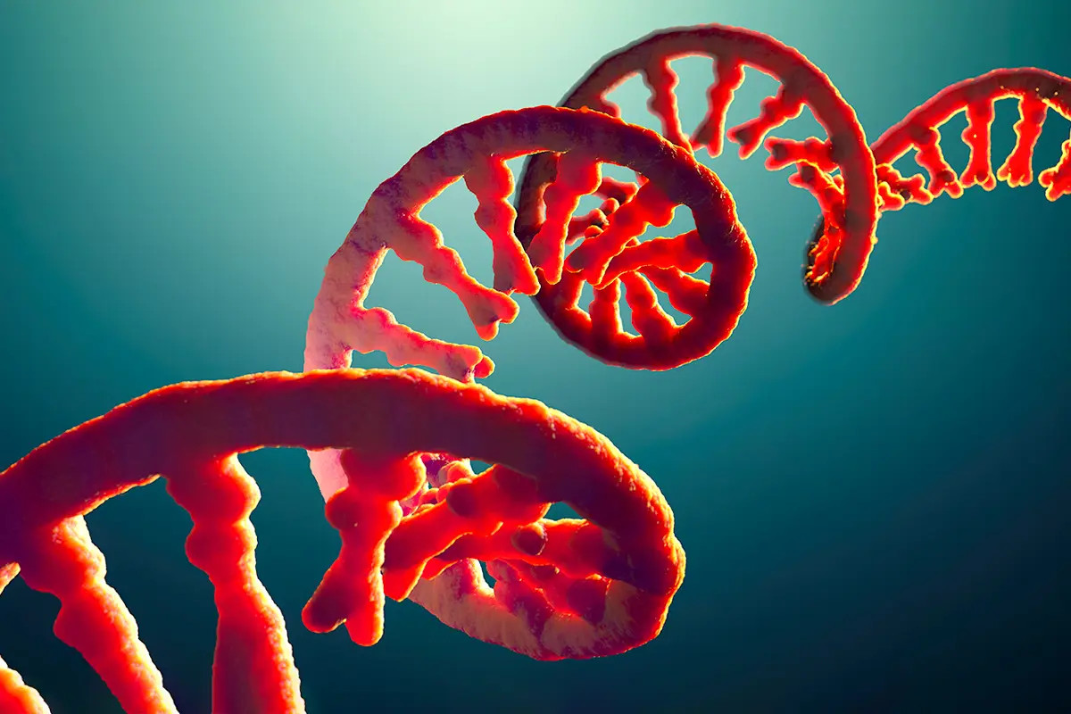 Sono in arrivo i vaccini a base di RNA auto-amplificante: ecco i pericoli nascosti
