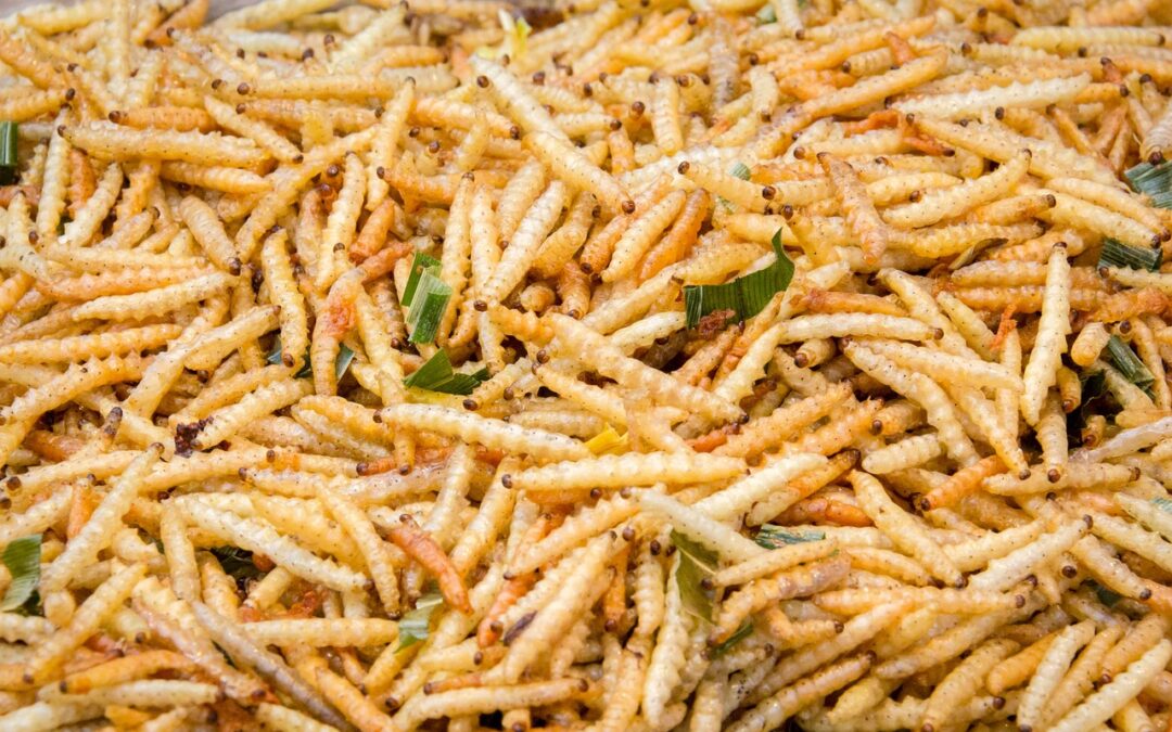 dieta insetti
