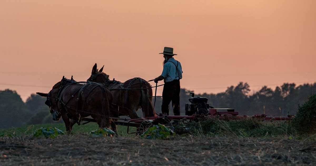 Amish