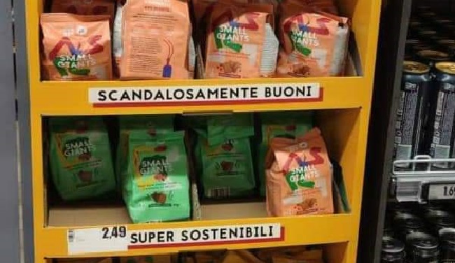 farina di grillo