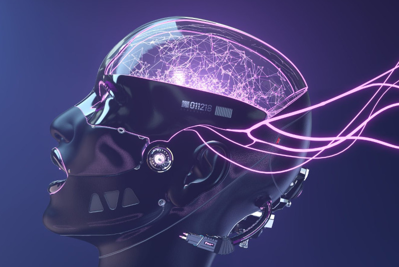 Arrivano i cyborg: l’accoppiamento dell’IA con le cellule cerebrali umane