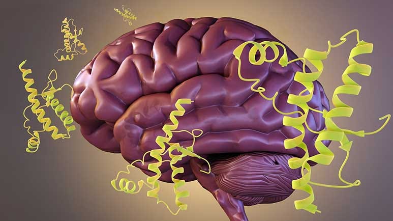 I medici prevedono un'epidemia di malattie cerebrali da prioni