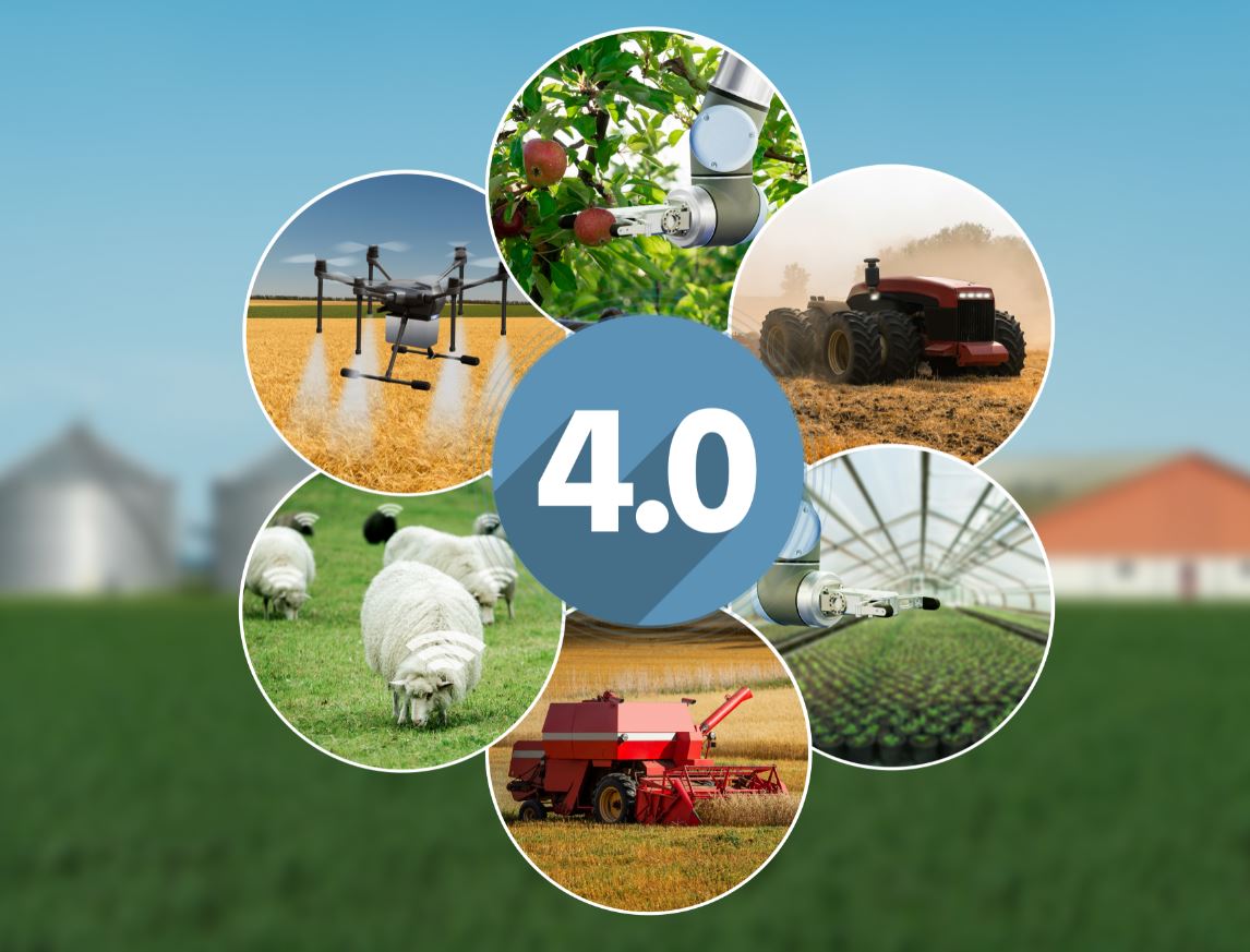 La minaccia nel menu: la finanziarizzazione dei terreni agricoli e la guerra al cibo e all’agricoltura
