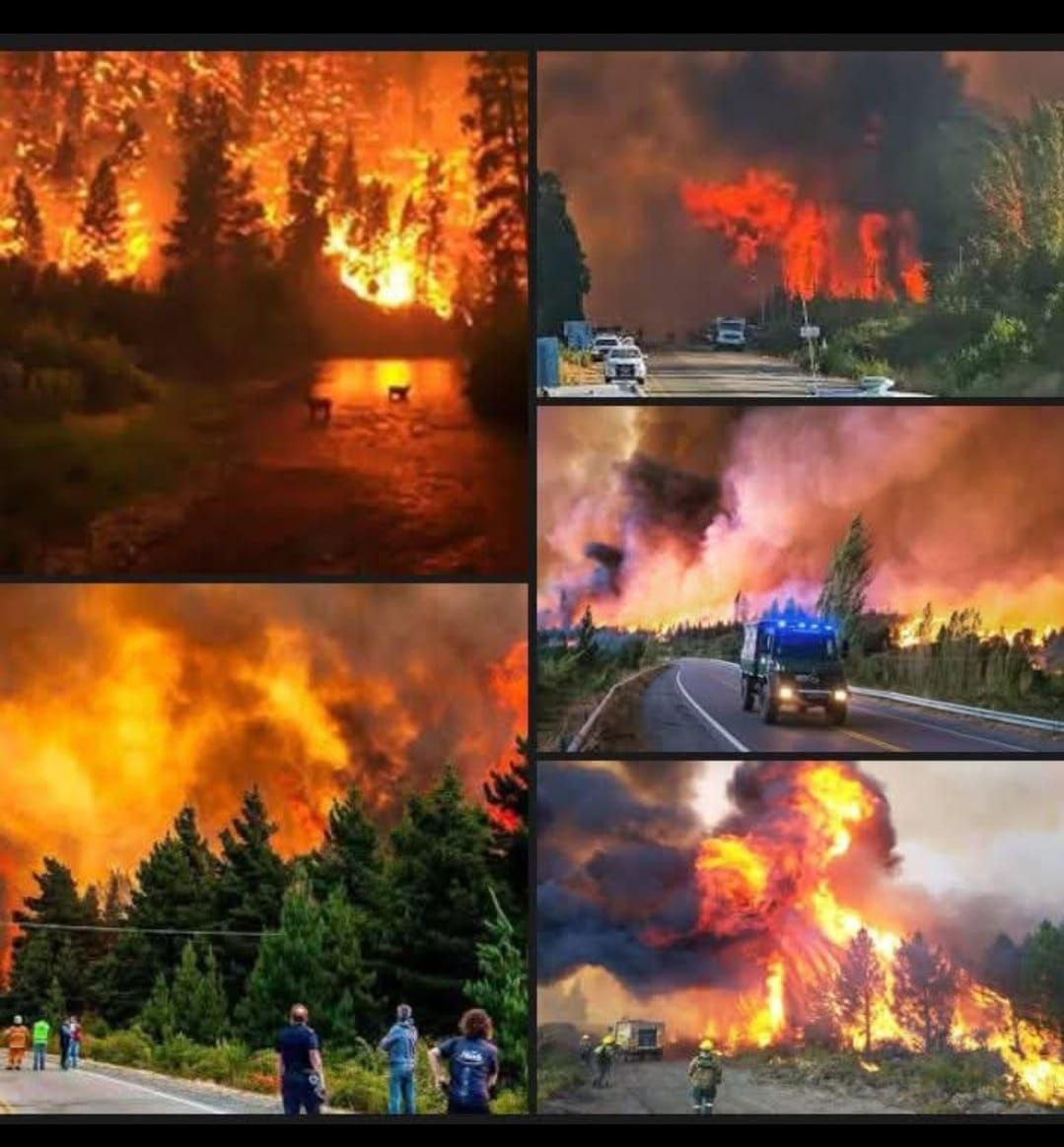 Articolo 04-03-2025 Articolo Patagonia Incendi 4