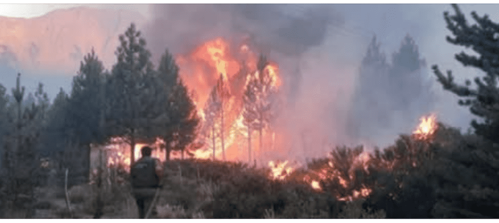 Articolo_04-03-2025_Articolo_Patagonia_Incendi_1_optimized_200