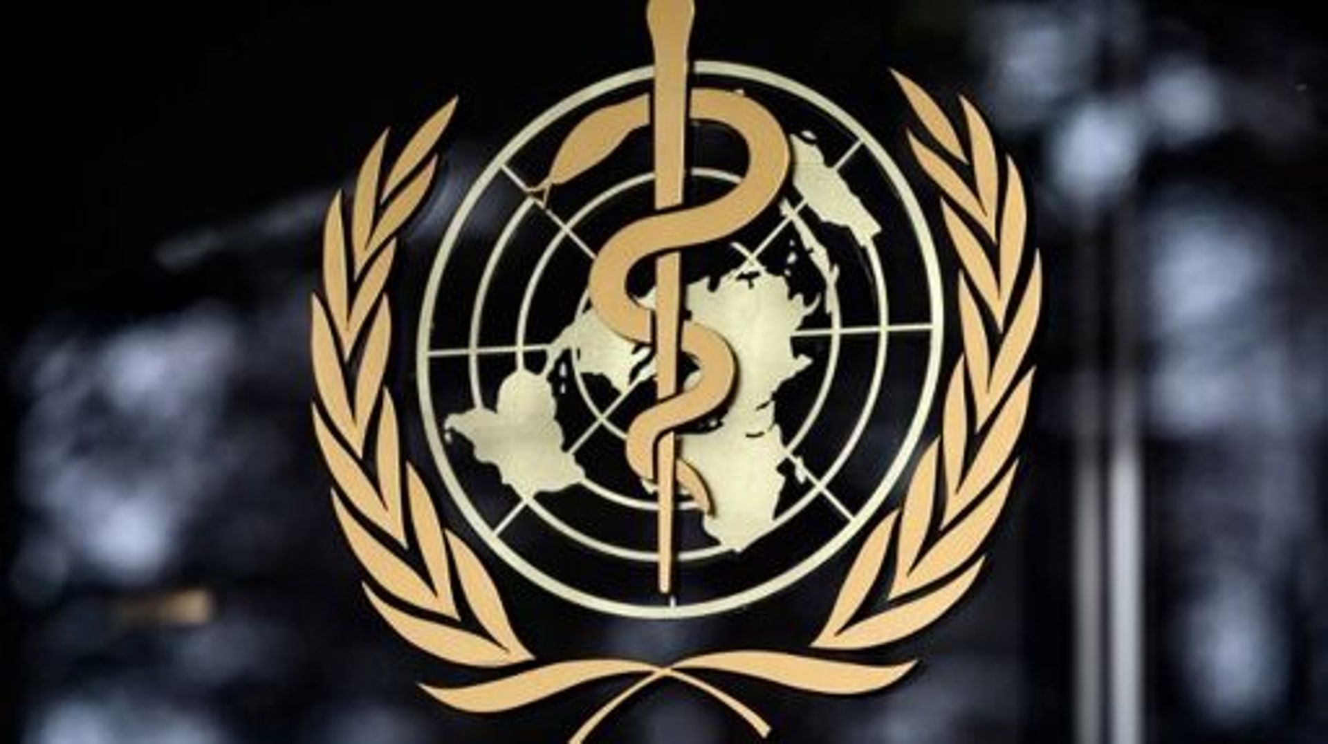 Forte preoccupazione per il silenzio istituzionale di fronte all'appello di 42 Associazioni sugli emendamenti OMS e l’invio di oltre 9000 e-mail per informare i deputati dell’eminente pericolo.