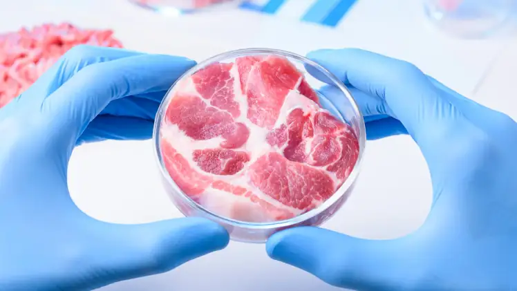 Il complotto segreto delle élite globali contro il cibo