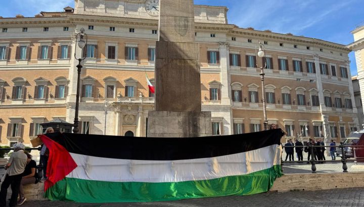 sit-in palestina
