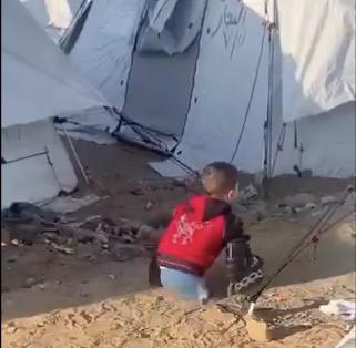 Parafrasando i volenterosi: Ripresa e Ricostruzione di Gaza