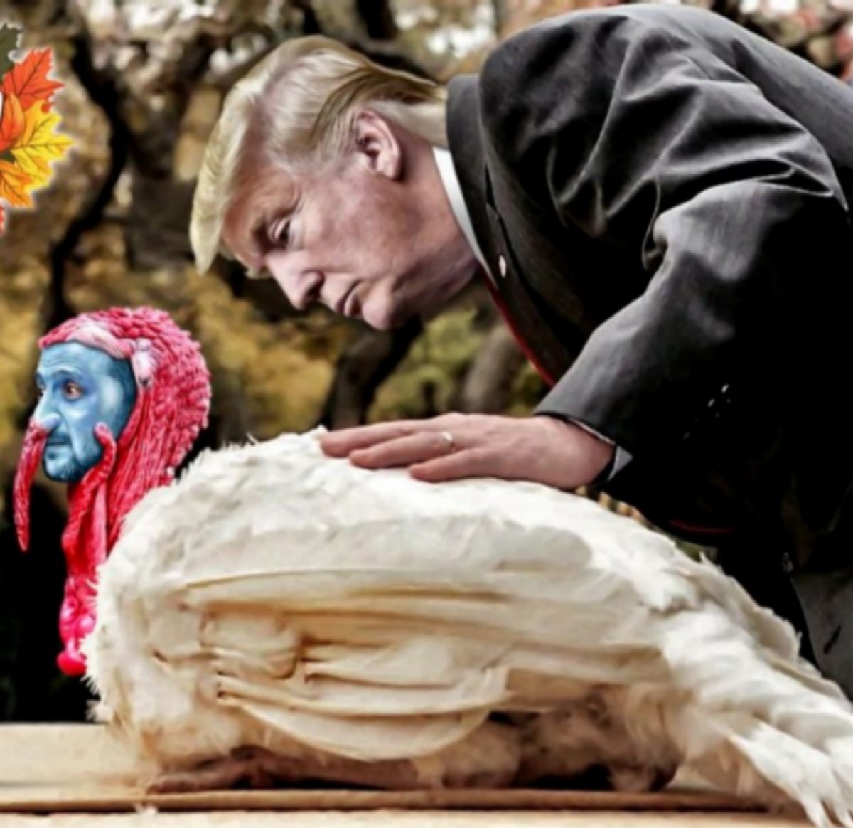 TrumTurk