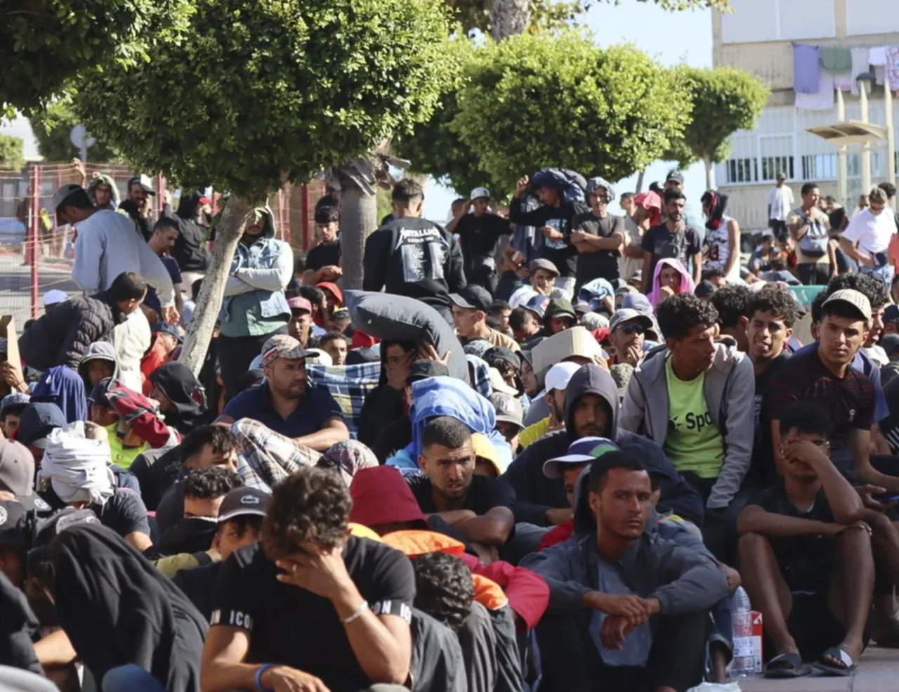 Amicus certus in re incerta Ceuta - un caso che parla più di quello che dovrebbe