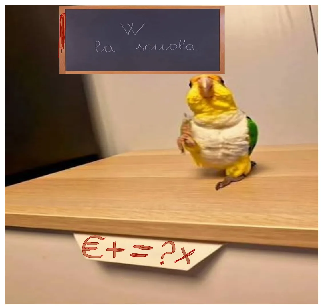 w la scuola