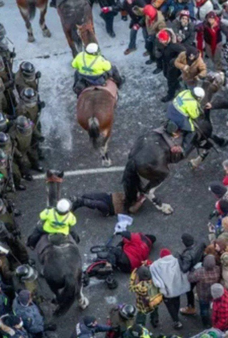 Roberta Paulsen schiacciata dai cavalli della polizia