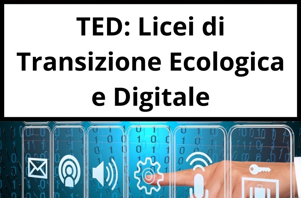 licei-ted
