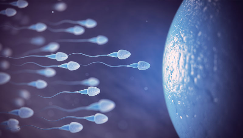 Metformina pre-concepimento a malformazioni genitali nei nascituri