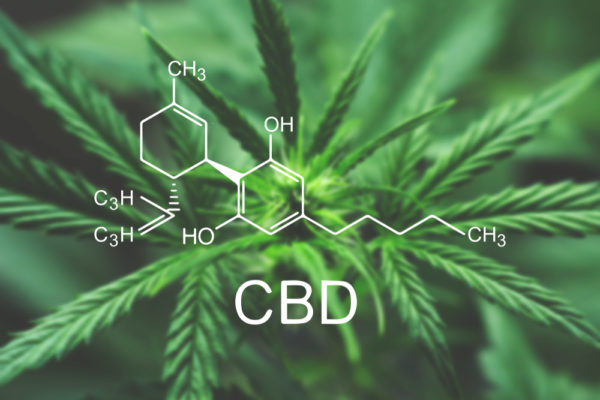 Cannabis: possibile ruolo attivo nella prevenzione della covid-19