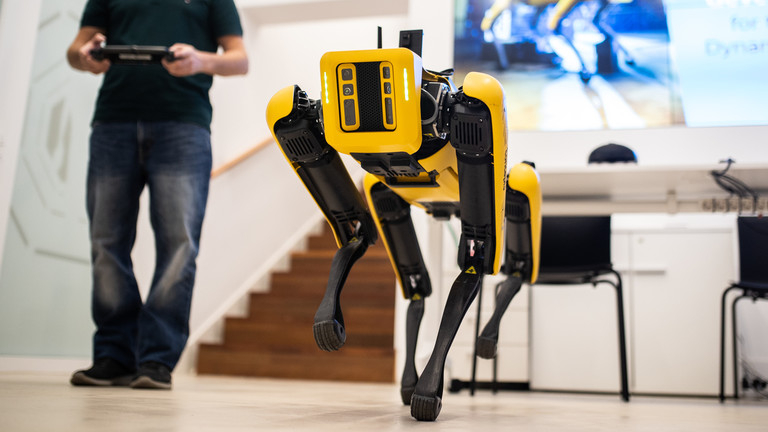 cane robot Ucraina