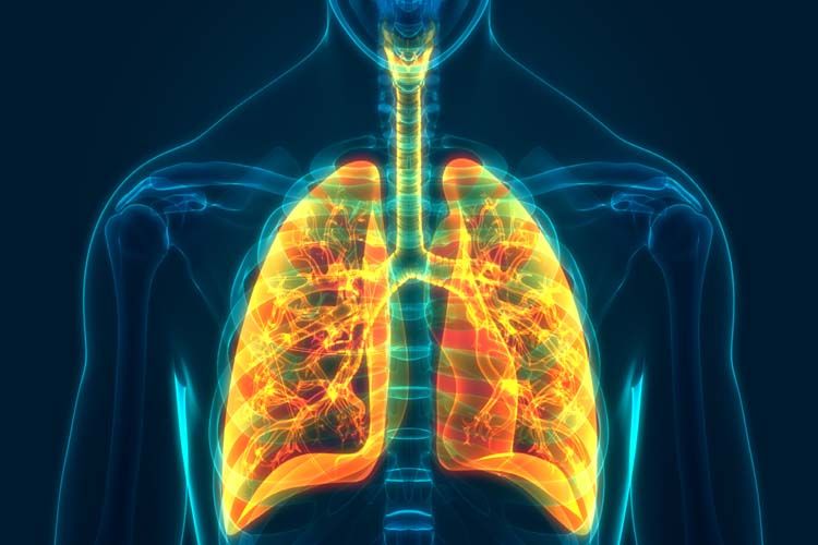Berberina in nanoparticelle ancora più potente sul più diffuso cancro del polmone