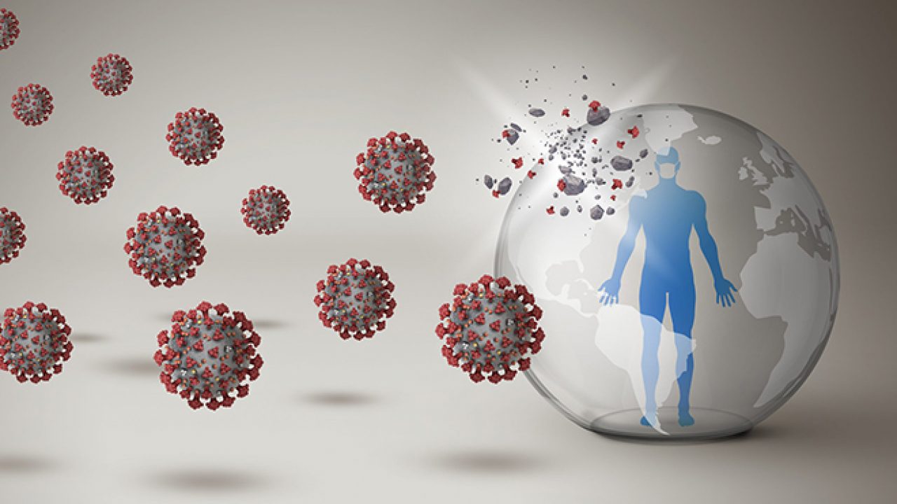 Altre conferme sull’immunità di lunga durata per chi ha contratto SARS-CoV-2