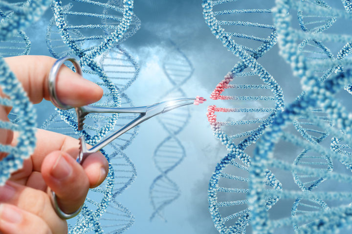 Le terapie CRISPR potrebbero promuovere il cancro