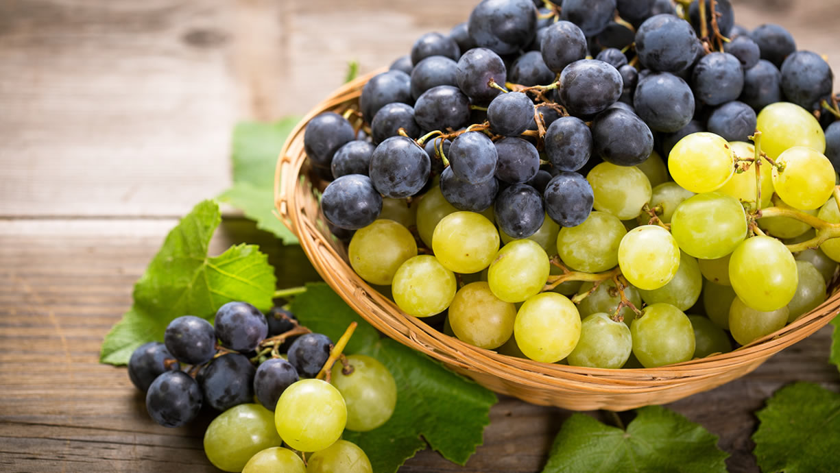 L'aggiunta dell'uva a una dieta ricca di grassi aumenta la longevità