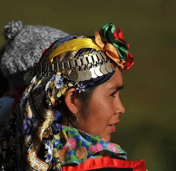 Resistenza Mapuche: la lotta di un popolo millenario che difende la propria terra.