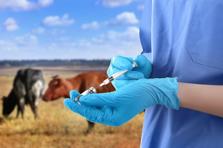 Produttori di carne nel panico per le notizie sul vaccino mRNA
